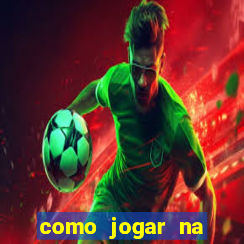 como jogar na seninha online